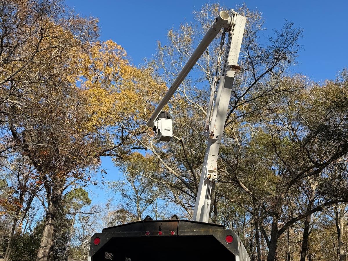 El Costeño Tree Service LLC